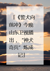 《警犬向前冲》今晚山东卫视播出，“神犬奇兵”炼成记