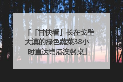 「甘快看」长在戈壁大漠的绿色蔬菜38小时直达粤港澳餐桌