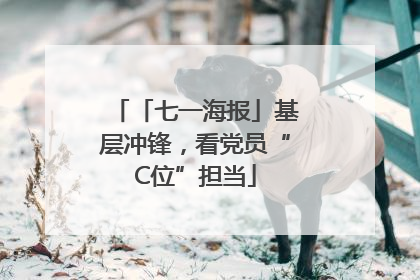 「七一海报」基层冲锋，看党员“C位”担当