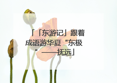 「东游记」跟着成语游华夏“东极”——抚远