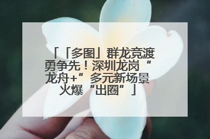 「多图」群龙竞渡勇争先！深圳龙岗“龙舟+”多元新场景火爆“出圈”