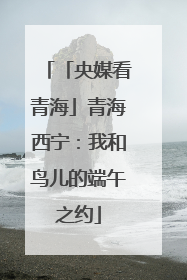 「央媒看青海」青海西宁：我和鸟儿的端午之约
