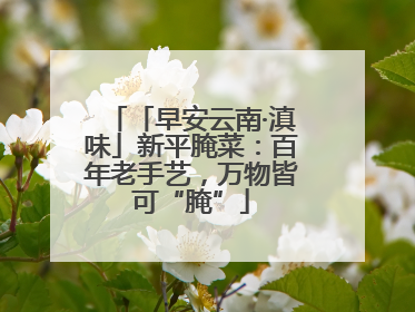 「早安云南·滇味」新平腌菜：百年老手艺，万物皆可“腌”