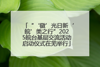 “‘徽’光日新‘皖’美之行”2025皖台基层交流活动启动仪式在芜举行