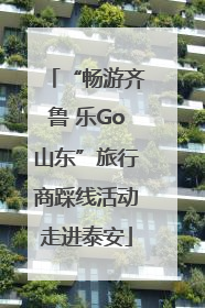 “畅游齐鲁 乐Go山东”旅行商踩线活动走进泰安