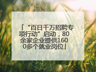 “百日千万招聘专项行动”启动，80余家企业提供1600多个就业岗位