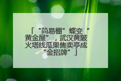 “简易棚”蝶变“黄金屋”，武汉黄陂火塔线瓜果售卖亭成“金招牌”