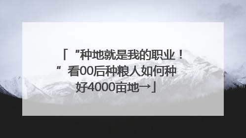 “种地就是我的职业！”看00后种粮人如何种好4000亩地→