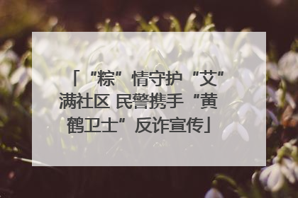 “粽”情守护“艾”满社区 民警携手“黄鹤卫士”反诈宣传