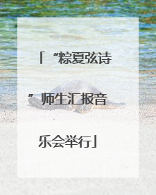 “粽夏弦诗”师生汇报音乐会举行