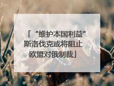 “维护本国利益” 斯洛伐克或将阻止欧盟对俄制裁