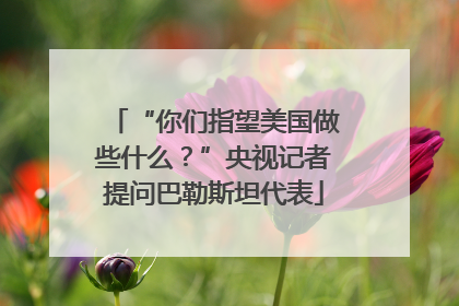 “你们指望美国做些什么？”央视记者提问巴勒斯坦代表