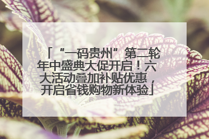 “一码贵州”第二轮年中盛典大促开启！六大活动叠加补贴优惠，开启省钱购物新体验