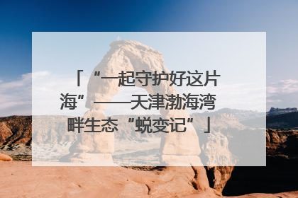 “一起守护好这片海”——天津渤海湾畔生态“蜕变记”