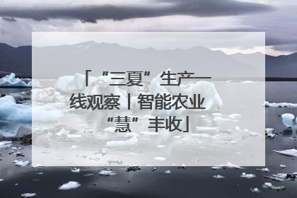 “三夏”生产一线观察丨智能农业“慧”丰收