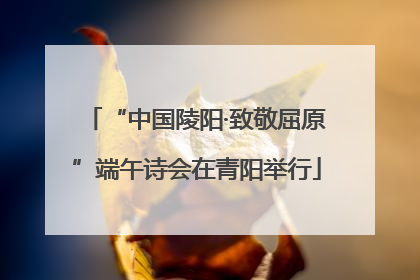 “中国陵阳·致敬屈原”端午诗会在青阳举行