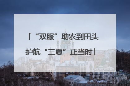 “双服”助农到田头 护航“三夏”正当时