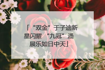 “双金”于子迪新星闪耀 “九冠”潘展乐如日中天