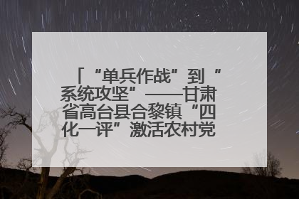 “单兵作战”到“系统攻坚”——甘肃省高台县合黎镇“四化一评”激活农村党员管理新引擎