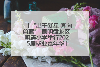 “出于繁星 奔向蔚蓝” 昆明盘龙区明通小学举行2025届毕业嘉年华