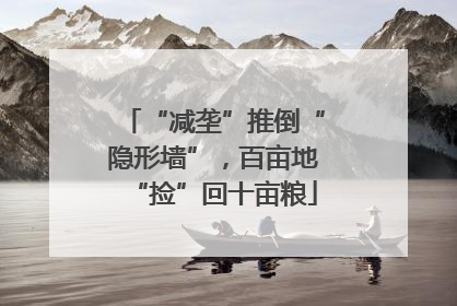 “减垄”推倒“隐形墙”，百亩地“捡”回十亩粮