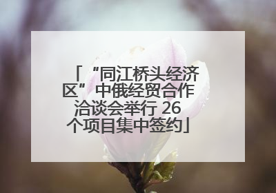 “同江桥头经济区”中俄经贸合作洽谈会举行 26个项目集中签约