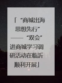 “商城出海 思想先行”——“双会”进商城学习调研活动在临沂顺利开展