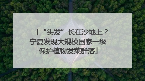 “头发”长在沙地上？宁夏发现大规模国家一级保护植物发菜群落