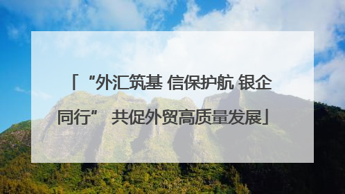 “外汇筑基 信保护航 银企同行” 共促外贸高质量发展