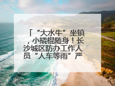 “大水牛”坐镇，小撬棍随身！长沙城区防办工作人员“人车等雨”严阵以待