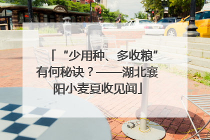 “少用种、多收粮”有何秘诀？——湖北襄阳小麦夏收见闻