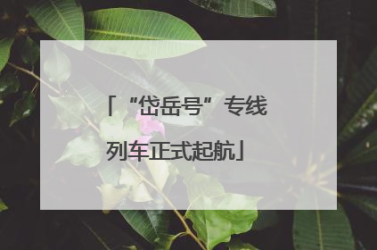 “岱岳号”专线列车正式起航