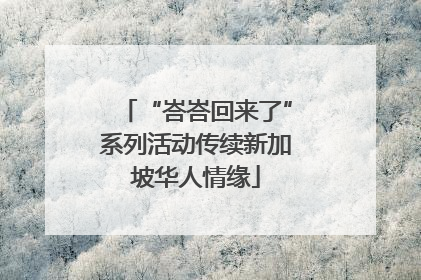 “峇峇回来了”系列活动传续新加坡华人情缘
