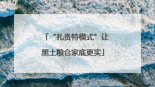 “扎赉特模式”让黑土粮仓家底更实