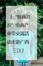 “数商兴农”电商产业带交流活动走进广西三江