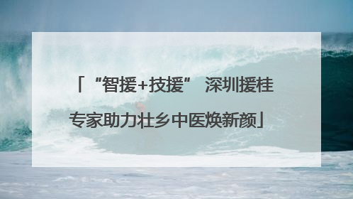 “智援+技援” 深圳援桂专家助力壮乡中医焕新颜