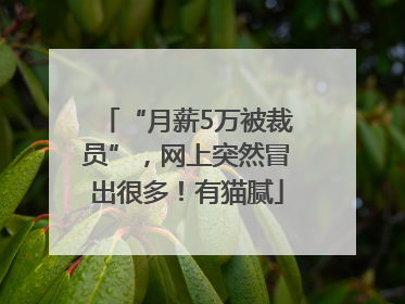 “月薪5万被裁员”，网上突然冒出很多！有猫腻