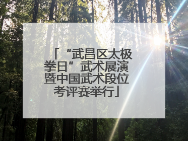“武昌区太极拳日”武术展演暨中国武术段位考评赛举行