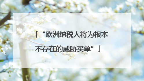“欧洲纳税人将为根本不存在的威胁买单”