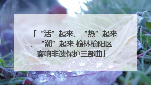 “活”起来、“热”起来、“潮”起来 榆林榆阳区奏响非遗保护三部曲