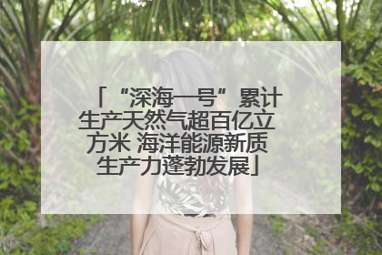 “深海一号”累计生产天然气超百亿立方米 海洋能源新质生产力蓬勃发展