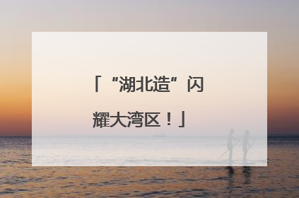 “湖北造”闪耀大湾区！