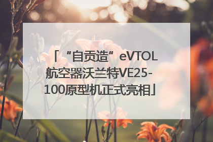 “自贡造”eVTOL航空器沃兰特VE25-100原型机正式亮相