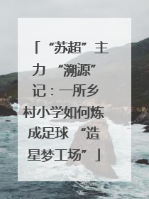 “苏超”主力 “溯源” 记：一所乡村小学如何炼成足球 “造星梦工场”