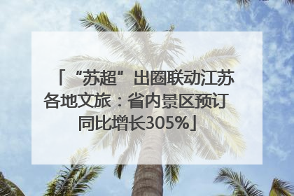 “苏超”出圈联动江苏各地文旅：省内景区预订同比增长305%