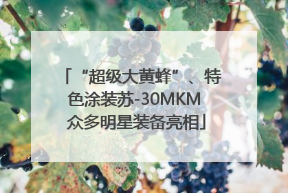 “超级大黄蜂”、特色涂装苏-30MKM 众多明星装备亮相