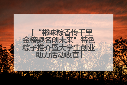 “郴味粽香传千里 金榜题名创未来”特色粽子推介暨大学生创业助力活动收官