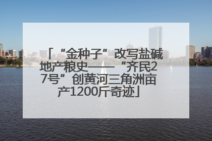 “金种子”改写盐碱地产粮史——“齐民27号”创黄河三角洲亩产1200斤奇迹