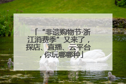 “非遗购物节·浙江消费季”又来了，探店、直播、云平台，你玩哪哪种