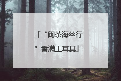 “闽茶海丝行”香满土耳其